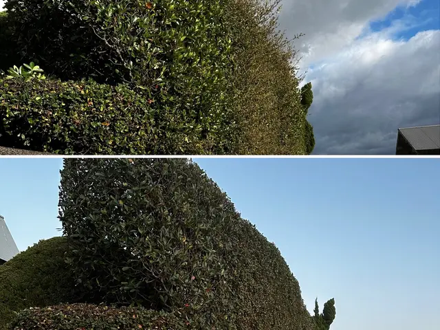 ◆年中無休・土日祝もご予約大歓迎◎営業時間外も対応可◎アフターフォロー万全サービスの画像