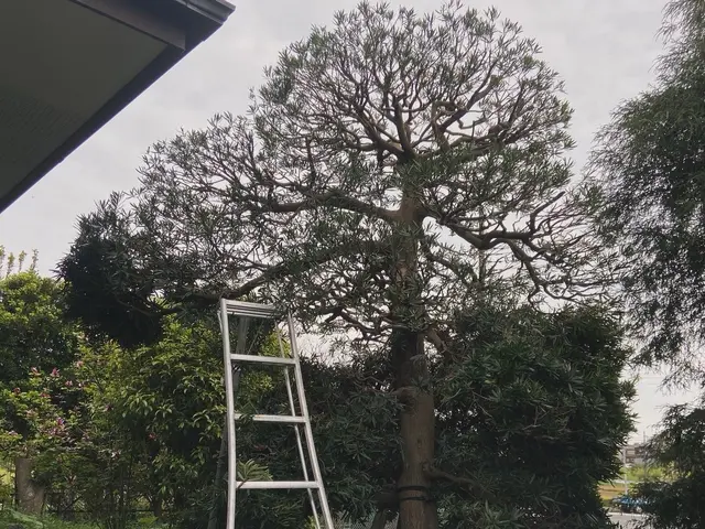 最高品質を求めるお客様必見。知識、技術力に自信があります。サービスの画像