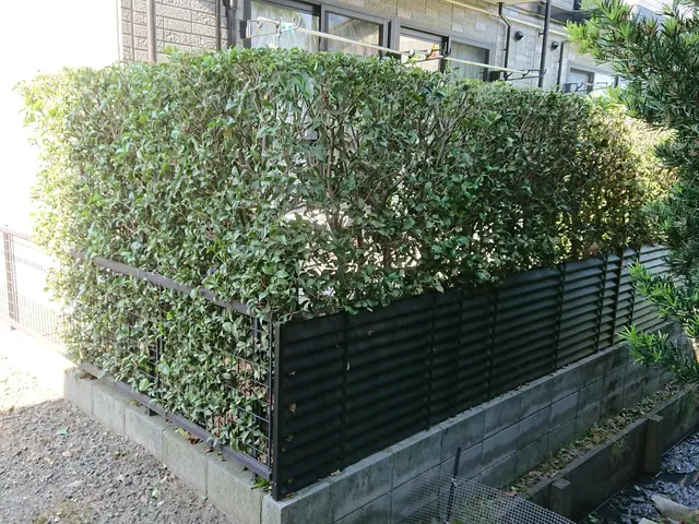 【業歴20年！】鬱蒼としている植え込みを風通しよくしませんか？サービスの画像