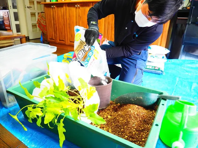 〜鉢の植替え〜　3月から10月頃までがシーズンです。サービスの画像