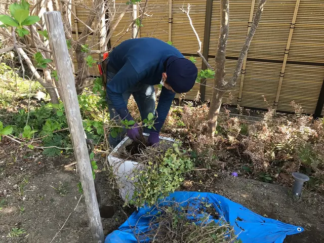 〜鉢の植替え〜　3月から10月頃までがシーズンです。サービスの画像