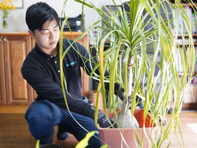 〜鉢の植替え〜　3月から10月頃までがシーズンです。サービスの画像