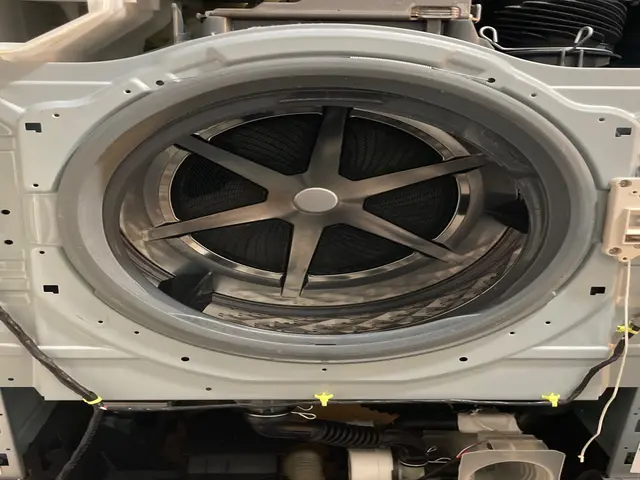 洗濯槽の輝きが違う！マスター1級資格保有者による丁寧な分解洗浄サービスサービスの画像