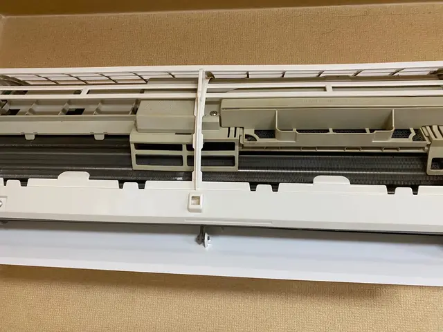 エアコンから出るカビによる体調不良、今やらないと手遅れです。今すぐご予約を！サービスの画像