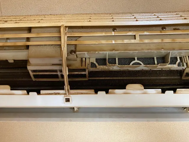 エアコンから出るカビによる体調不良、今やらないと手遅れです。今すぐご予約を！サービスの画像