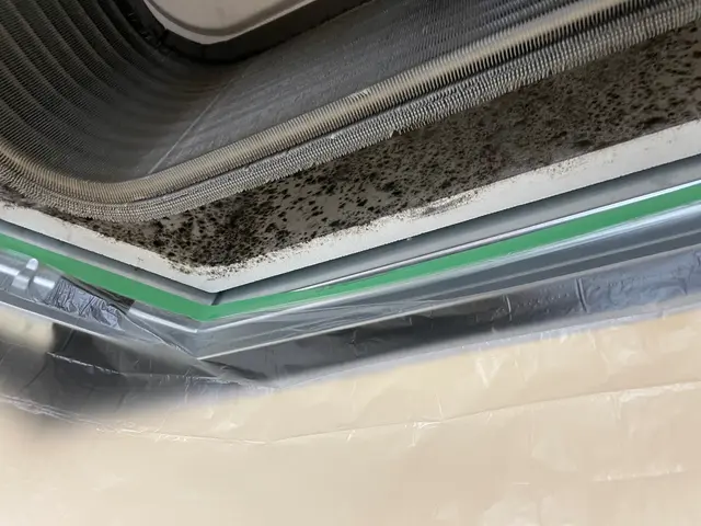 ◤店舗・オフィスもお任せ◢細やかな気配り◎お客様の「ありがとう」が宝物ですサービスの画像