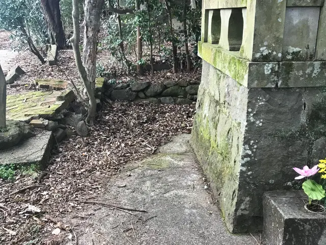 【すべて自社対応】作業外注なし！【損害保険加入済み】☆真心を込めて綺麗にしますサービスの画像