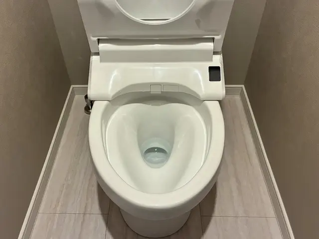 【堺市北区】分解洗浄対応トイレクリーニング｜尿石・ニオイ徹底除去サービスの画像