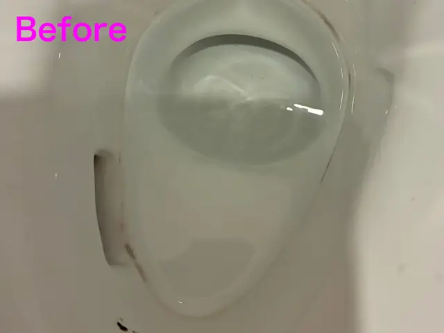 10月出店◎トイレをピカピカに◎【清掃実績有】【堺発】サービスの画像