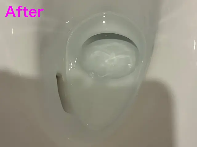 10月出店◎トイレをピカピカに◎【清掃実績有】【堺発】サービスの画像