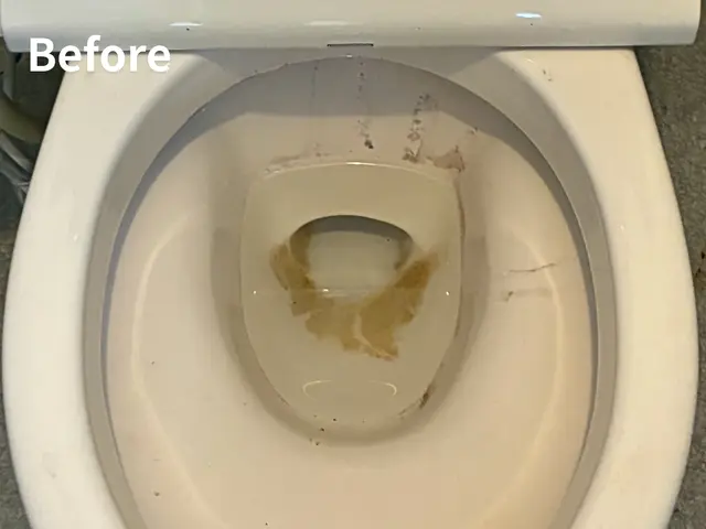 【堺市北区】分解洗浄対応トイレクリーニング｜尿石・ニオイ徹底除去サービスの画像