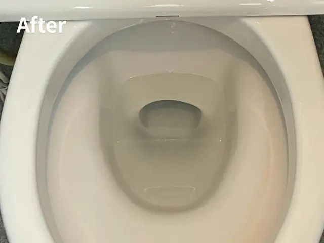 【堺市北区】分解洗浄対応トイレクリーニング｜尿石・ニオイ徹底除去サービスの画像