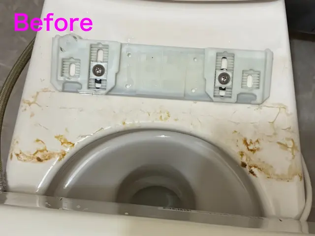 10月出店◎トイレをピカピカに◎【清掃実績有】【堺発】サービスの画像