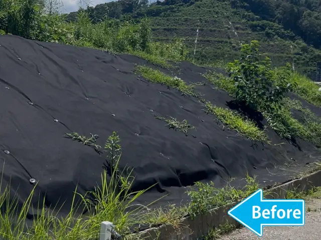 たーぼー店長が直接対応します！　　　　傾斜地から広範囲まで丁寧作業！サービスの画像