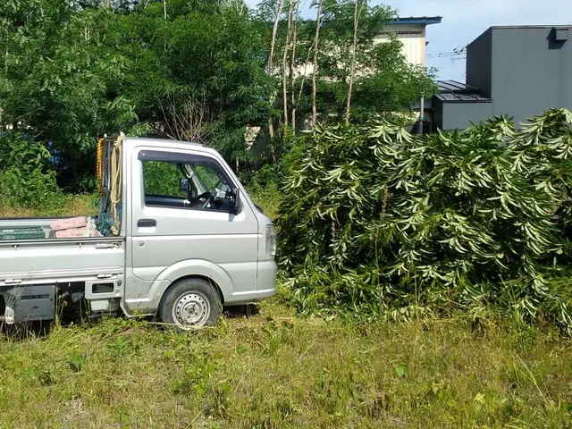 【地域密着店】年中無休◎女性スタッフ活躍中◎アフターフォローも万全サービスの画像