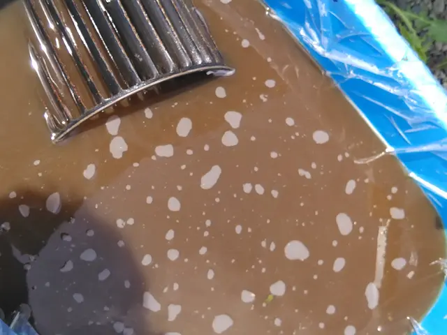 レンジフード(換気扇)シロッコファン、フィルター清掃洗浄致します。サービスの画像