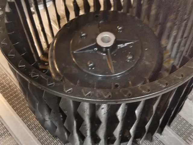 レンジフード(換気扇)シロッコファン、フィルター清掃洗浄致します。サービスの画像