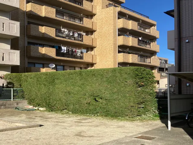 植え込み・生垣の剪定。お客様のご要望に合わせ、丁寧に作業させて頂きます！サービスの画像