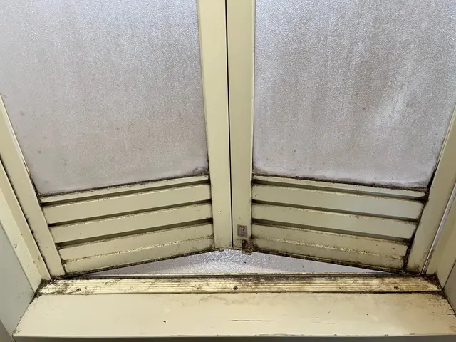 プロの技術で手早く丁寧な作業☆汚れ防止コーティング込みサービスの画像