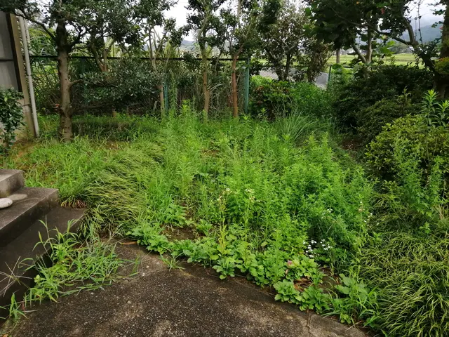 【年中無休】地域密着◇早朝作業も対応OK！駐車場代負担ゼロ！真心込めて作業しますサービスの画像