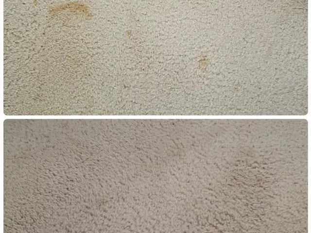 お客様に合わせたサービスをご提供！お話し相手としても◎サービスの画像