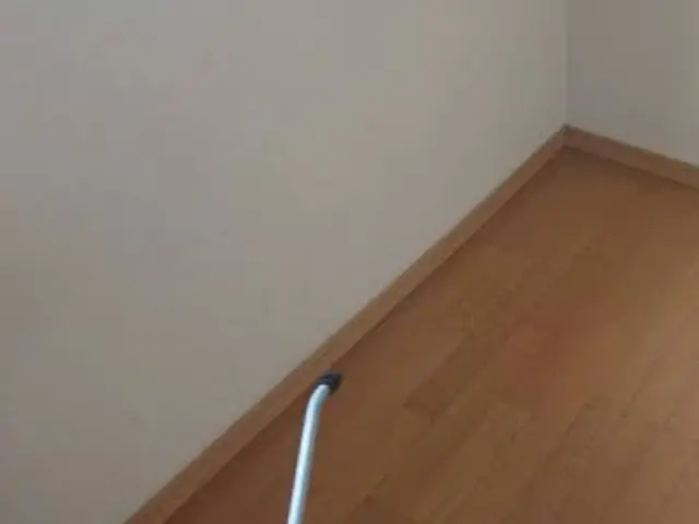 ◎害虫予防付きコバエ、チョウバエ卵までしっかり駆除いたします！女性スタッフ同行可サービスの画像