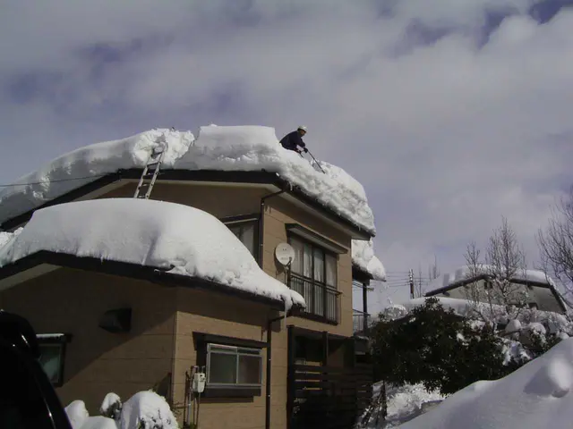 [1989年創業] 雪の事なら当店にお任せ下さい！人力での作業になります。サービスの画像