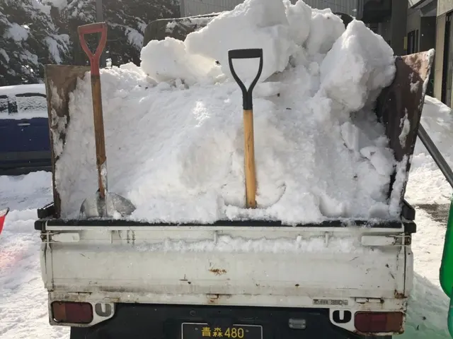 [1989年創業] 雪の事なら当店にお任せ下さい！人力での作業になります。サービスの画像