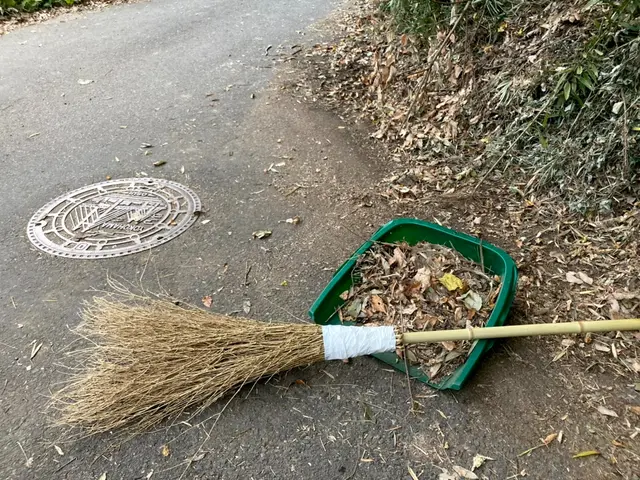 竹ぼうきとブロワーと経験豊富なスタッフで！小さな庭も大きな駐車場もおまかせを！サービスの画像