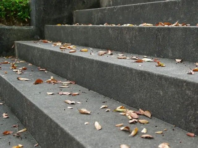 竹ぼうきとブロワーと経験豊富なスタッフで！小さな庭も大きな駐車場もおまかせを！サービスの画像