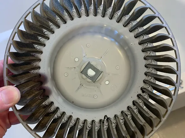 女性スタッフ同行可◎損害保険に加入済み◎当店へお任せください！サービスの画像