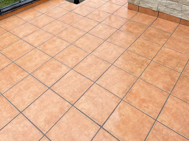 玄関タイルクリーニングサービスの画像