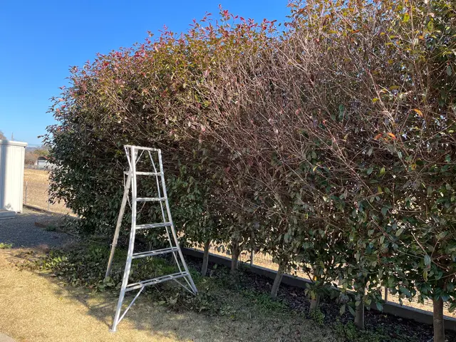 《全日本植木協会会長在籍》お客様目線の迅速・丁寧な大人気植木屋　年間700件実績サービスの画像