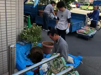 造園業16年 庭園管理士 樹木のその時の状態に適した施工を行います よっすぃ 農園緑化事業部の庭木の剪定 くらしのマーケット