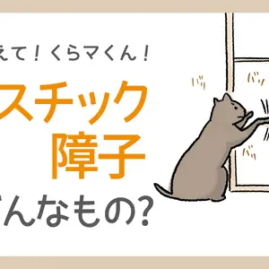 もう破られたくない 猫に障子を破られないための5つの対策 くらしのマーケットマガジン