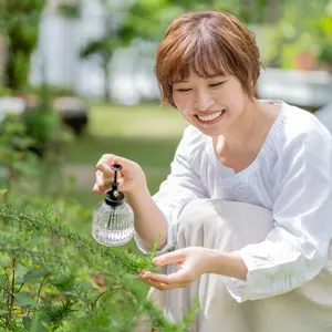 ガジュマルはどうやって剪定するの 剪定後の注意点も解説 くらしのマーケットマガジン