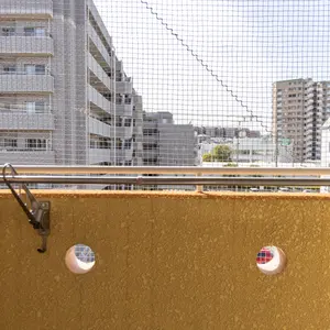 ベランダの鳩よけ対策にテグスが効果あり 設置の方法を教えて くらしのマーケットマガジン