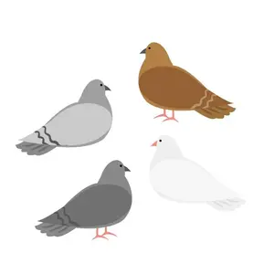 鳩対策グッズ8選 100円均一でも見つかる 鳩被害のレベルに合わせたグッズを紹介 くらしのマーケットマガジン