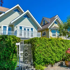 ギンバイカの生垣の育て方 うまく育たない原因と解決方法 くらしのマーケットマガジン