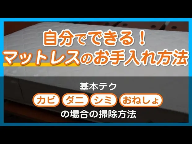 【自分でできる！】マットレスのお手入れ方法 | 基本テク／カビ・ダニ・シミ・おねしょの場合の掃除方法
