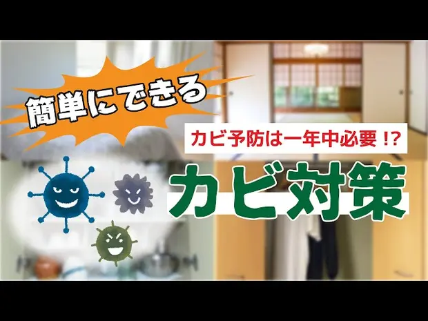 カビ予防は一年中必要ってホント！？簡単にできるカビ対策