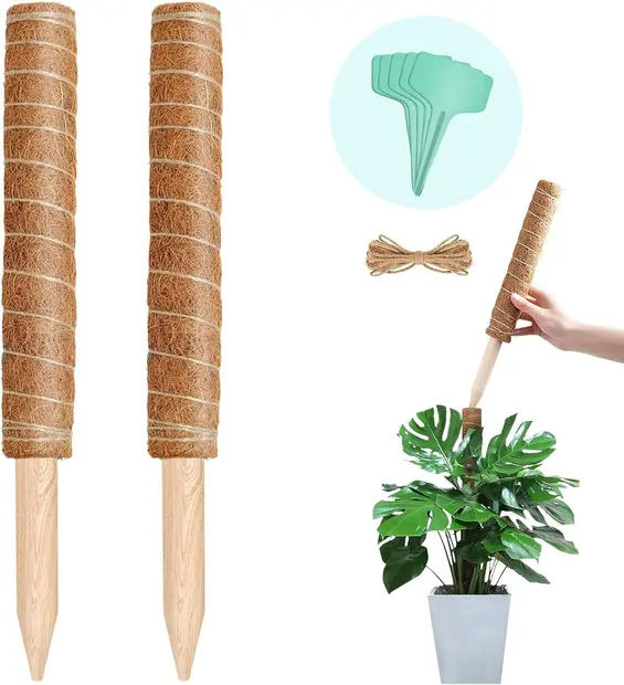 YOUSHY園芸支柱 観葉植物モンステラ 支柱