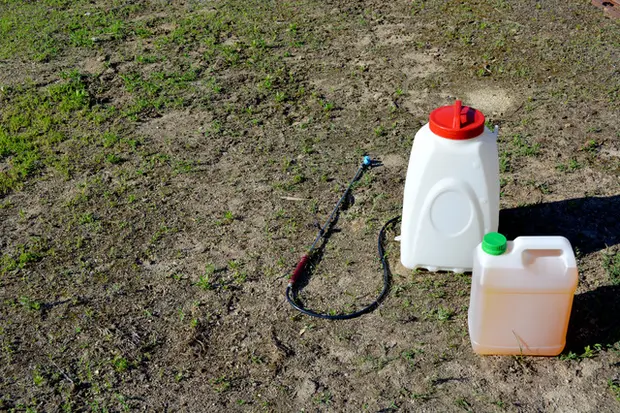 除草剤で雑草を枯らす