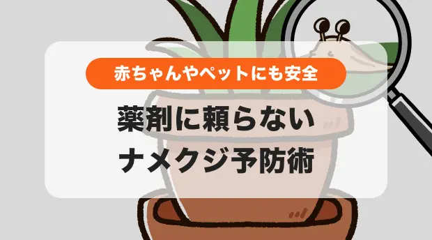 家庭菜園の野菜とナメクジ