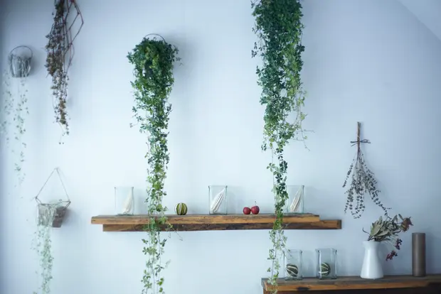 花束を保存するときの方法や楽しみ方について説明 くらしのマーケットマガジン