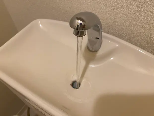 スポンジまたは歯ブラシでこする