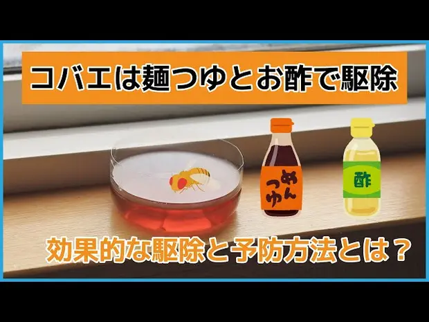 【コバエは麺つゆ・お酢で駆除】効果的な駆除と予防方法とは？