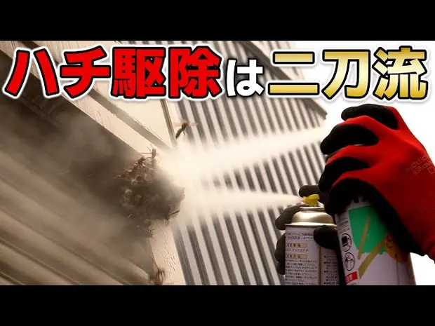【プロの蜂駆除】スズメバチ・アシナガバチの駆除の方法＜密着2日目＞