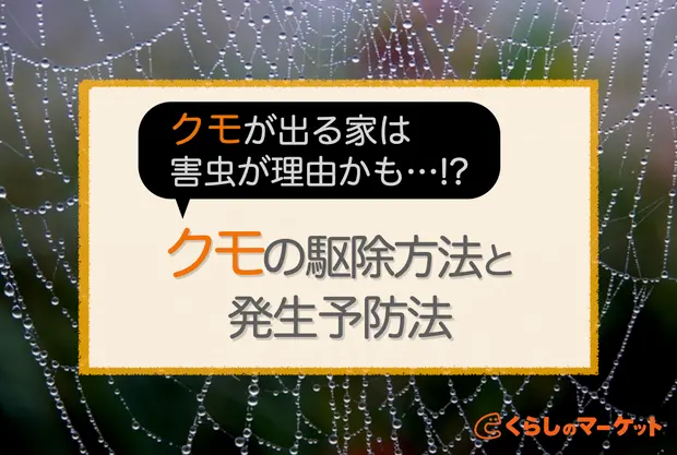 家の中にクモが出る理由は害虫 クモの駆除方法と発生予防法 くらしのマーケットマガジン