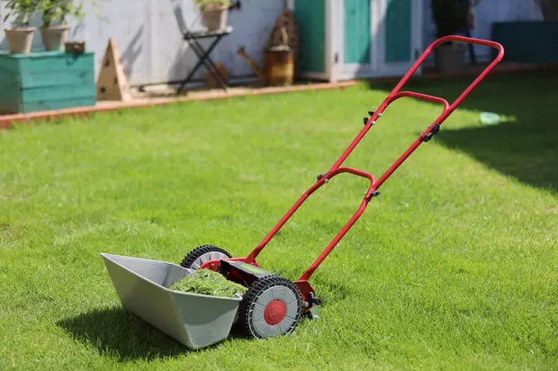 芝刈り機で刈る